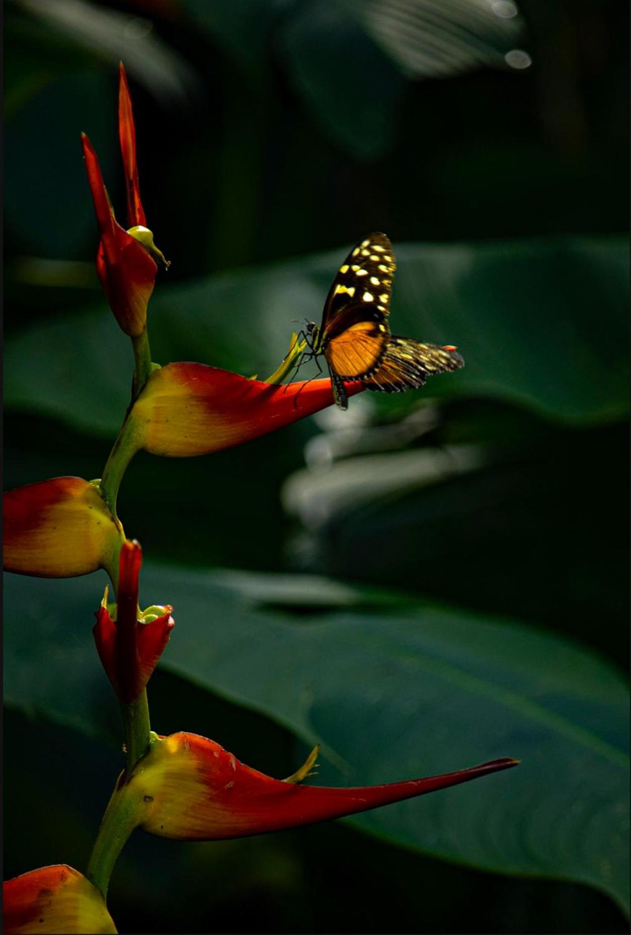 Cabinas La Fulanita นิโกยา ภายนอก รูปภาพ